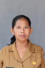 Dra. Ni Nyoman Tirta